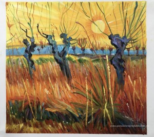 Pollard-Weiden und Sonne-