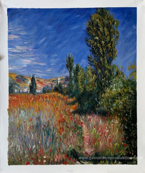 Landschaft auf der Ile Saint-Martin